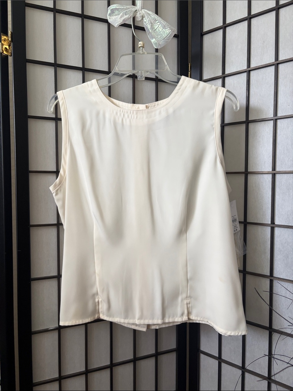 Sleeveless Satin Camisole in Cream